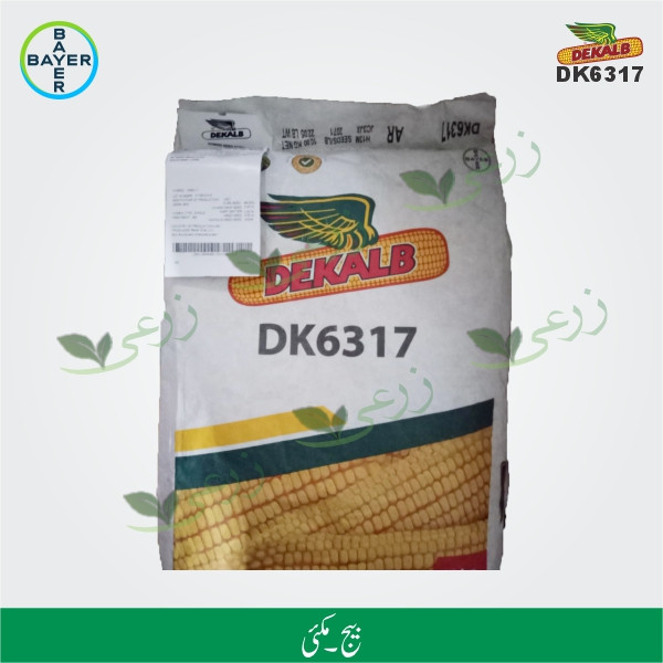 DEKALB 8148 10kg Bayer Hybrid Corn Seed